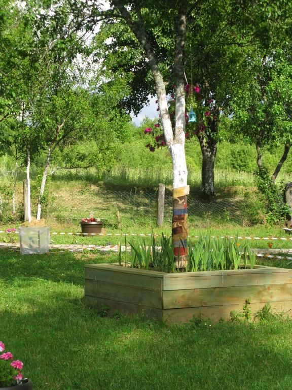 Apartments Eco Forest Resort Rakovica Exterior foto