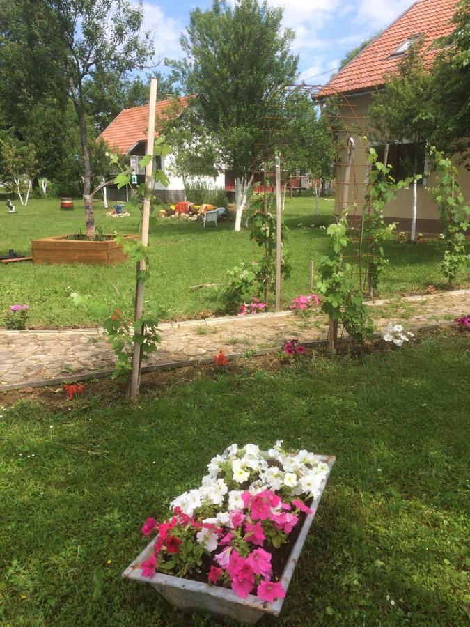Apartments Eco Forest Resort Rakovica Exterior foto
