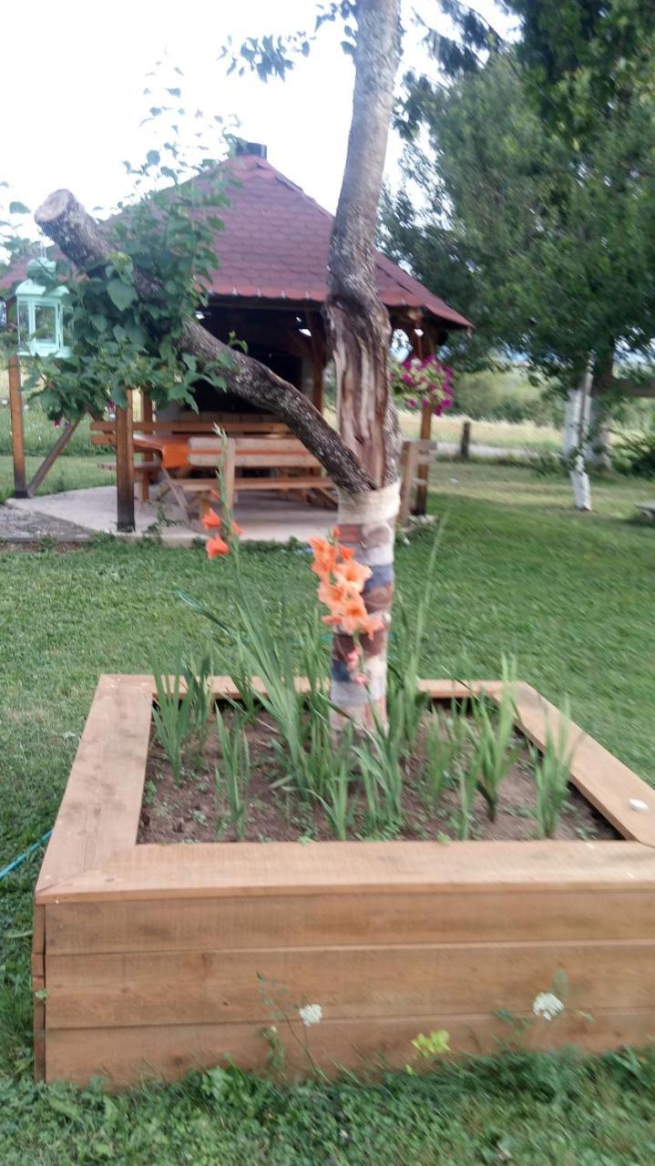 Apartments Eco Forest Resort Rakovica Exterior foto